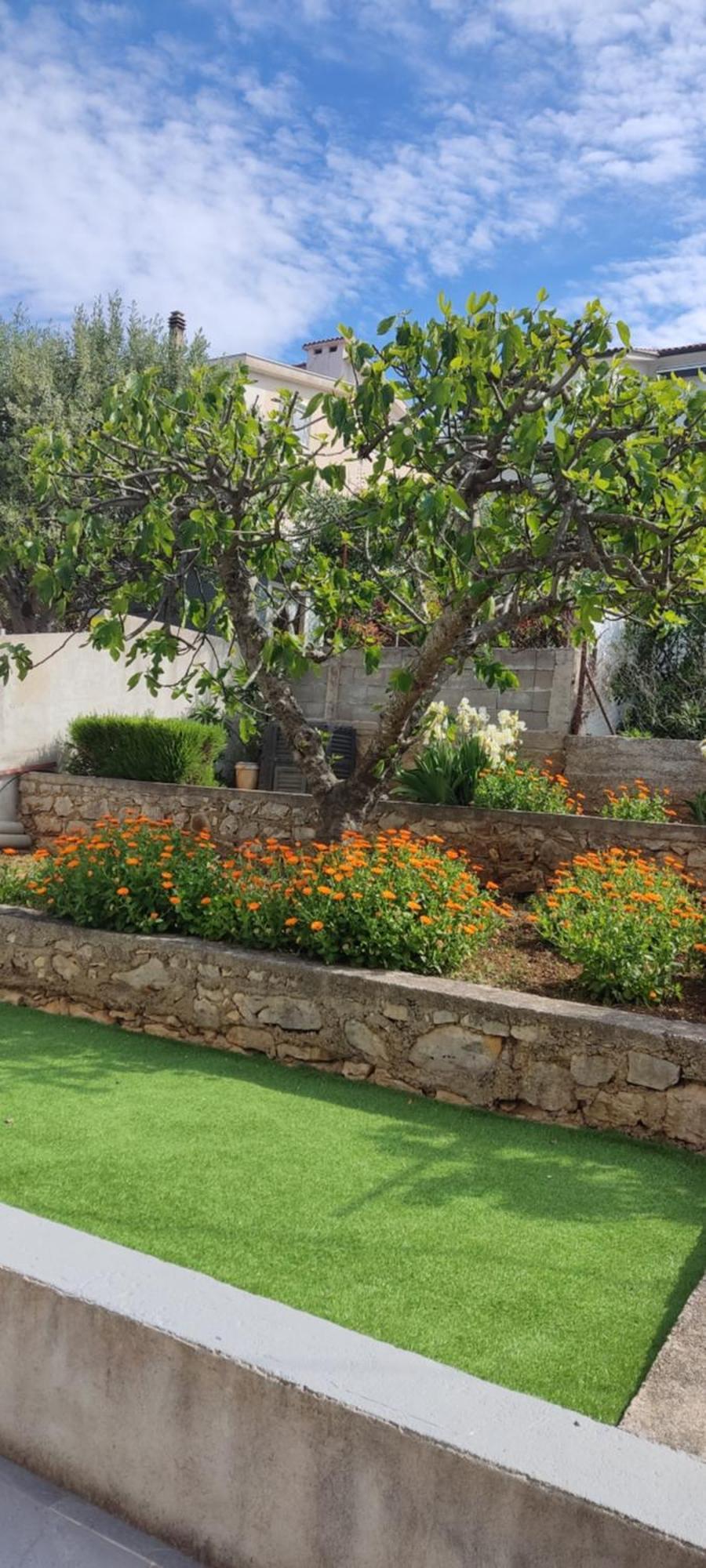 Apartmani Mataija Sveti Petar  Exteriér fotografie